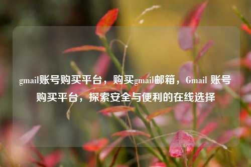 gmail账号购买平台，购买gmail邮箱，Gmail 账号购买平台，探索安全与便利的在线选择