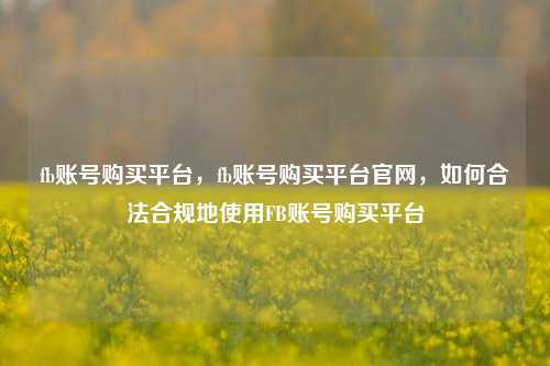 fb账号购买平台，fb账号购买平台官网，如何合法合规地使用FB账号购买平台