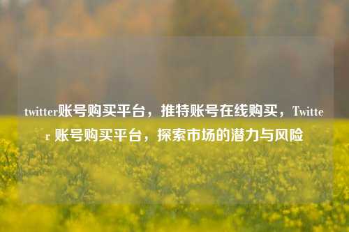 twitter账号购买平台，推特账号在线购买，Twitter 账号购买平台，探索市场的潜力与风险