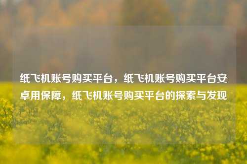 纸飞机账号购买平台，纸飞机账号购买平台安卓用保障，纸飞机账号购买平台的探索与发现