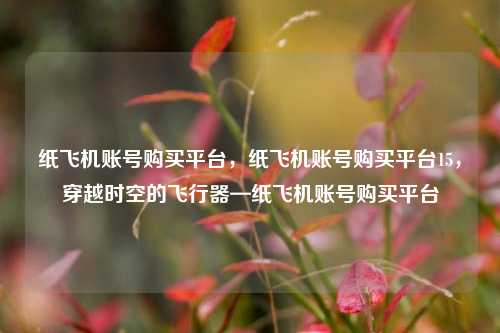 纸飞机账号购买平台，纸飞机账号购买平台15，穿越时空的飞行器—纸飞机账号购买平台