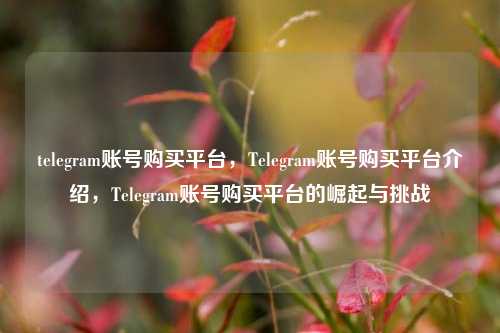 telegram账号购买平台，Telegram账号购买平台介绍，Telegram账号购买平台的崛起与挑战