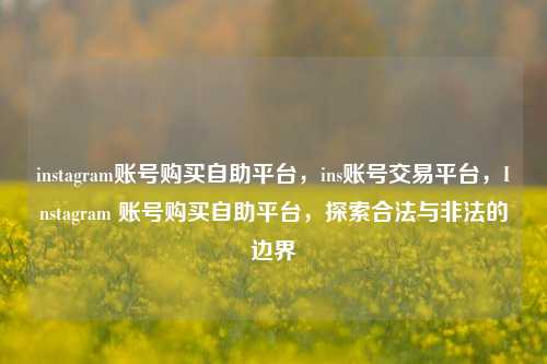 instagram账号购买自助平台，ins账号交易平台，Instagram 账号购买自助平台，探索合法与非法的边界