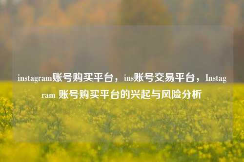 instagram账号购买平台，ins账号交易平台，Instagram 账号购买平台的兴起与风险分析