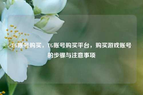 TG账号购买，TG账号购买平台，购买游戏账号的步骤与注意事项