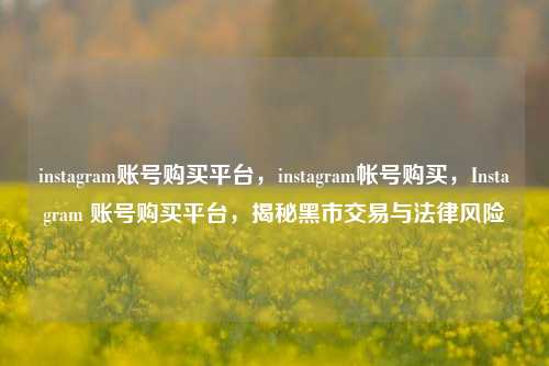 instagram账号购买平台，instagram帐号购买，Instagram 账号购买平台，揭秘黑市交易与法律风险