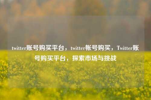 twitter账号购买平台，twitter帐号购买，Twitter账号购买平台，探索市场与挑战