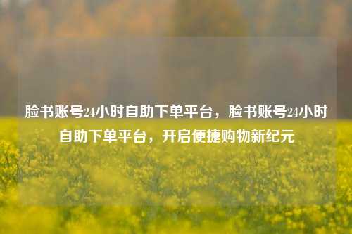 脸书账号24小时自助下单平台，脸书账号24小时自助下单平台，开启便捷购物新纪元