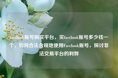 facebook帐号购买平台，买facebook账号多少钱一个，如何合法合规地使用Facebook账号，探讨非法交易平台的利弊