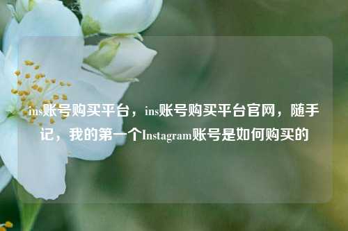 ins账号购买平台，ins账号购买平台官网，随手记，我的第一个Instagram账号是如何购买的