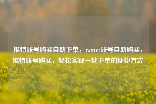 推特账号购买自助下单，twitter账号自助购买，推特账号购买，轻松实现一键下单的便捷方式