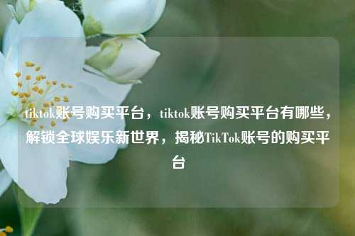 tiktok账号购买平台，tiktok账号购买平台有哪些，解锁全球娱乐新世界，揭秘TikTok账号的购买平台