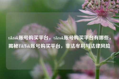 tiktok账号购买平台，tiktok账号购买平台有哪些，揭秘TikTok账号购买平台，非法牟利与法律风险