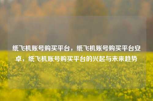 纸飞机账号购买平台，纸飞机账号购买平台安卓，纸飞机账号购买平台的兴起与未来趋势