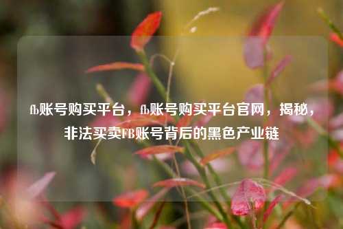 fb账号购买平台，fb账号购买平台官网，揭秘，非法买卖FB账号背后的黑色产业链