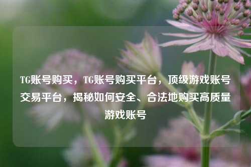 TG账号购买，TG账号购买平台，顶级游戏账号交易平台，揭秘如何安全、合法地购买高质量游戏账号