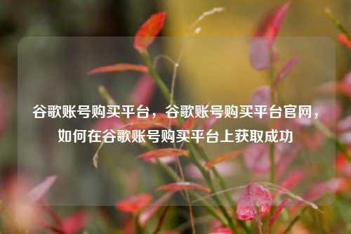 谷歌账号购买平台，谷歌账号购买平台官网，如何在谷歌账号购买平台上获取成功