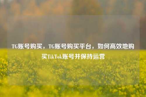 TG账号购买，TG账号购买平台，如何高效地购买TikTok账号并保持运营