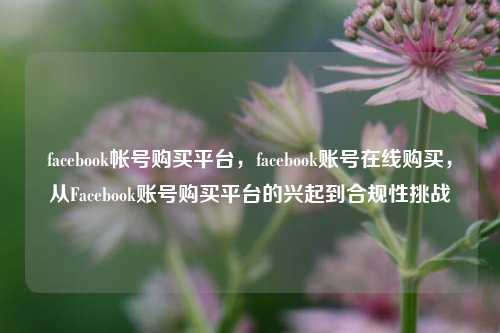 facebook帐号购买平台，facebook账号在线购买，从Facebook账号购买平台的兴起到合规性挑战