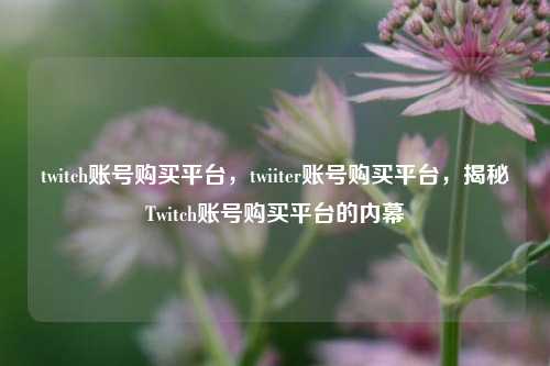twitch账号购买平台，twiiter账号购买平台，揭秘Twitch账号购买平台的内幕