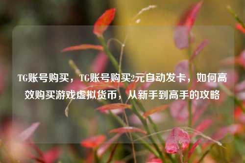 TG账号购买，TG账号购买2元自动发卡	，如何高效购买游戏虚拟货币，从新手到高手的攻略  第1张