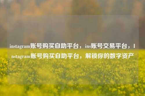 instagram账号购买自助平台，ins账号交易平台，Instagram账号购买自助平台，解锁你的数字资产