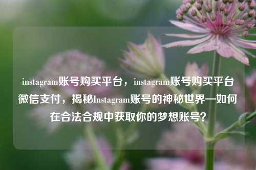 instagram账号购买平台，instagram账号购买平台微信支付，揭秘Instagram账号的神秘世界—如何在合法合规中获取你的梦想账号？