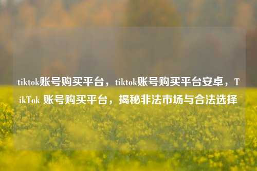 tiktok账号购买平台，tiktok账号购买平台安卓，TikTok 账号购买平台，揭秘非法市场与合法选择