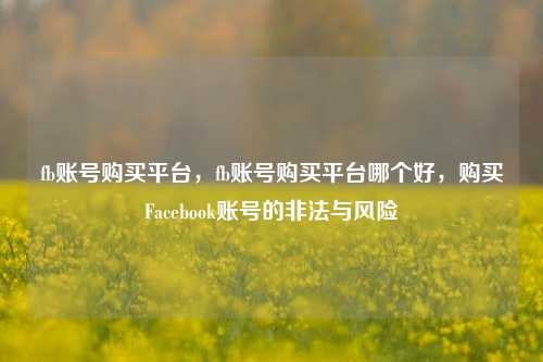 fb账号购买平台，fb账号购买平台哪个好，购买Facebook账号的非法与风险