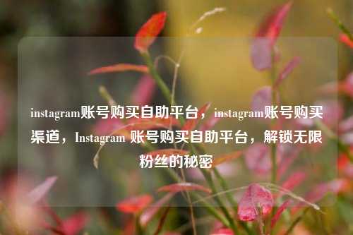instagram账号购买自助平台，instagram账号购买渠道	，Instagram 账号购买自助平台，解锁无限粉丝的秘密  第1张