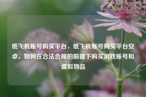 纸飞机账号购买平台，纸飞机账号购买平台安卓，如何在合法合规的前提下购买游戏账号和虚拟物品