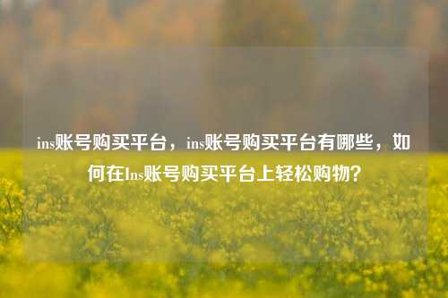 ins账号购买平台，ins账号购买平台有哪些，如何在Ins账号购买平台上轻松购物？
