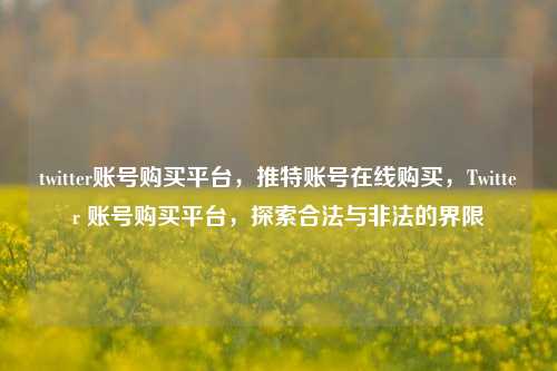 twitter账号购买平台，推特账号在线购买，Twitter 账号购买平台，探索合法与非法的界限
