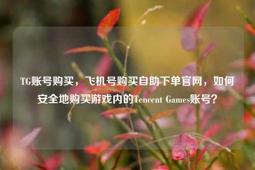 TG账号购买，飞机号购买自助下单官网，如何安全地购买游戏内的Tencent Games账号？