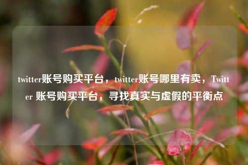 twitter账号购买平台，twitter账号哪里有卖，Twitter 账号购买平台，寻找真实与虚假的平衡点