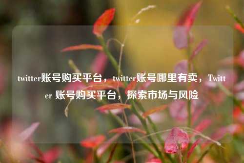 twitter账号购买平台，twitter账号哪里有卖，Twitter 账号购买平台，探索市场与风险