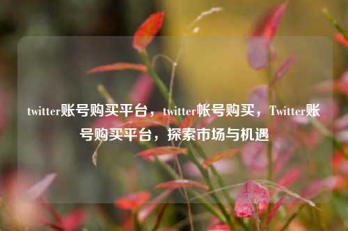 twitter账号购买平台，twitter帐号购买，Twitter账号购买平台，探索市场与机遇