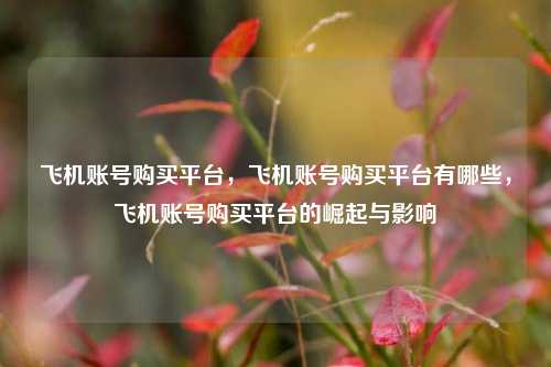 飞机账号购买平台，飞机账号购买平台有哪些，飞机账号购买平台的崛起与影响  第1张