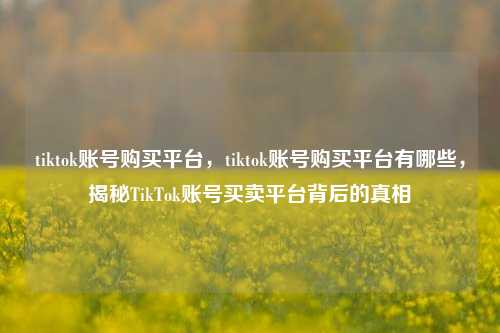 tiktok账号购买平台，tiktok账号购买平台有哪些，揭秘TikTok账号买卖平台背后的真相