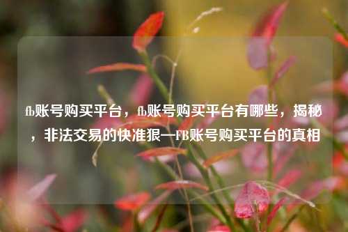 fb账号购买平台，fb账号购买平台有哪些，揭秘，非法交易的快准狠—FB账号购买平台的真相