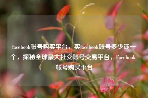 facebook帐号购买平台，买facebook账号多少钱一个，探秘全球最大社交账号交易平台，Facebook 帐号购买平台