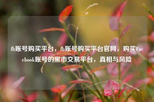 fb账号购买平台，fb账号购买平台官网，购买Facebook账号的黑市交易平台，真相与风险