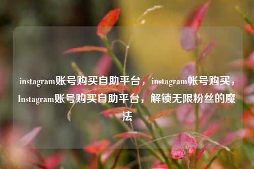 instagram账号购买自助平台	，instagram帐号购买，Instagram账号购买自助平台，解锁无限粉丝的魔法  第1张