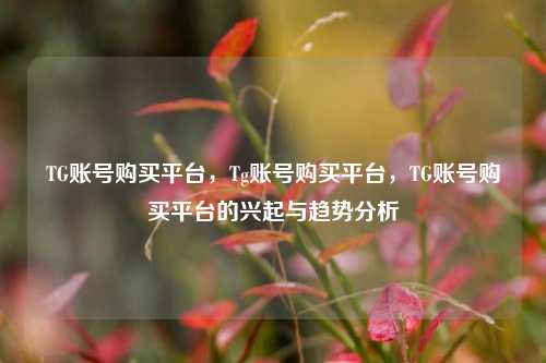 TG账号购买平台，Tg账号购买平台，TG账号购买平台的兴起与趋势分析