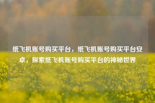 纸飞机账号购买平台，纸飞机账号购买平台安卓，探索纸飞机账号购买平台的神秘世界