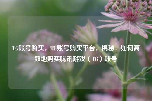 TG账号购买，TG账号购买平台，揭秘，如何高效地购买腾讯游戏（TG）账号