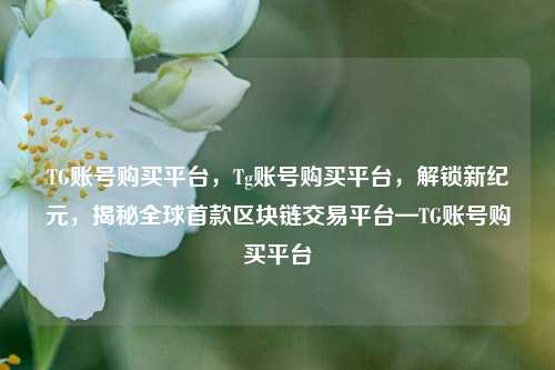 TG账号购买平台，Tg账号购买平台，解锁新纪元，揭秘全球首款区块链交易平台—TG账号购买平台