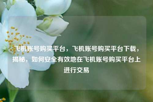 飞机账号购买平台，飞机账号购买平台下载，揭秘，如何安全有效地在飞机账号购买平台上进行交易