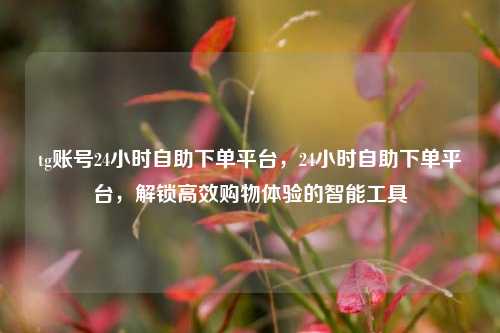 tg账号24小时自助下单平台，24小时自助下单平台，解锁高效购物体验的智能工具
