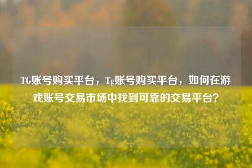 TG账号购买平台，Tg账号购买平台，如何在游戏账号交易市场中找到可靠的交易平台？